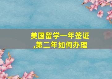 美国留学一年签证,第二年如何办理