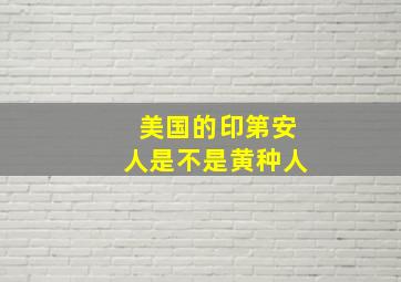 美国的印第安人是不是黄种人