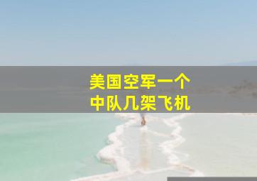 美国空军一个中队几架飞机