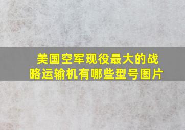 美国空军现役最大的战略运输机有哪些型号图片