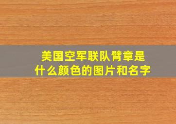 美国空军联队臂章是什么颜色的图片和名字