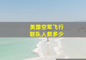 美国空军飞行联队人数多少