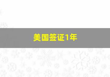 美国签证1年