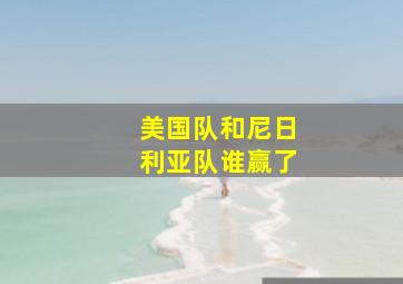 美国队和尼日利亚队谁赢了