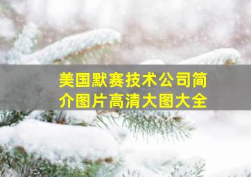 美国默赛技术公司简介图片高清大图大全