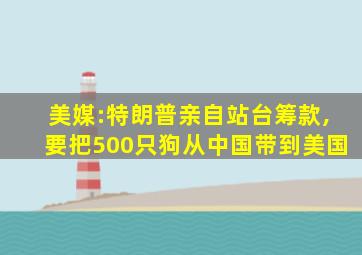 美媒:特朗普亲自站台筹款,要把500只狗从中国带到美国