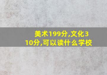 美术199分,文化310分,可以读什么学校