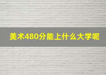 美术480分能上什么大学呢