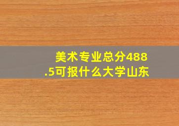 美术专业总分488.5可报什么大学山东