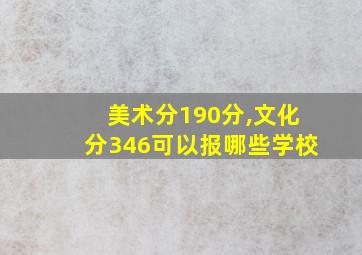 美术分190分,文化分346可以报哪些学校