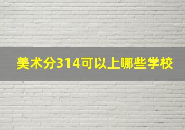 美术分314可以上哪些学校