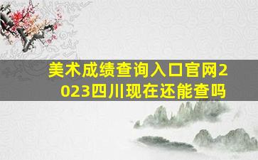 美术成绩查询入口官网2023四川现在还能查吗