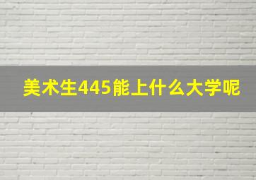 美术生445能上什么大学呢