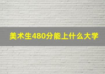 美术生480分能上什么大学