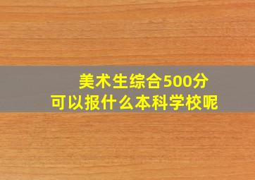 美术生综合500分可以报什么本科学校呢