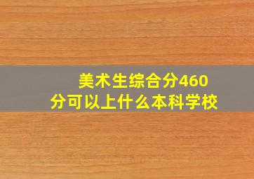 美术生综合分460分可以上什么本科学校