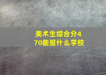 美术生综合分470能报什么学校