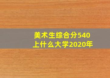 美术生综合分540上什么大学2020年