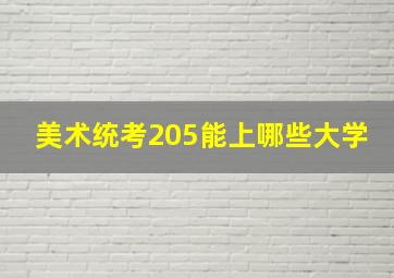 美术统考205能上哪些大学