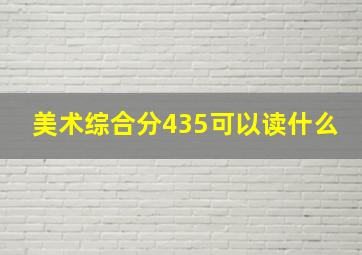 美术综合分435可以读什么