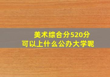 美术综合分520分可以上什么公办大学呢