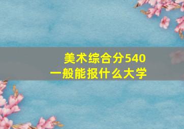 美术综合分540一般能报什么大学