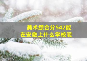 美术综合分542能在安徽上什么学校呢