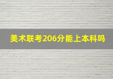 美术联考206分能上本科吗