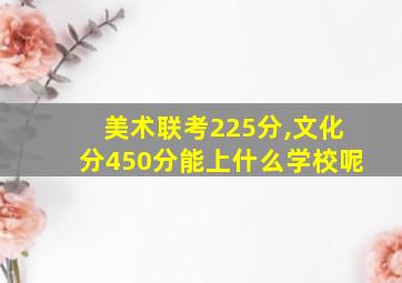 美术联考225分,文化分450分能上什么学校呢