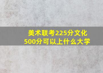 美术联考225分文化500分可以上什么大学