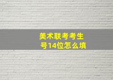 美术联考考生号14位怎么填