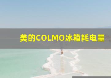 美的COLMO冰箱耗电量