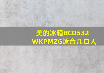 美的冰箱BCD532WKPMZG适合几口人