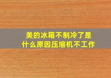 美的冰箱不制冷了是什么原因压缩机不工作