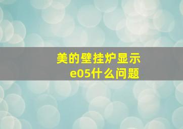 美的壁挂炉显示e05什么问题