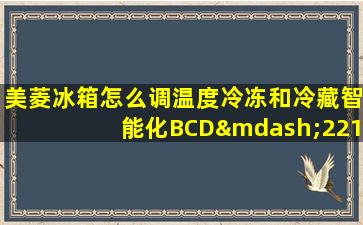 美菱冰箱怎么调温度冷冻和冷藏智能化BCD—221ZE3CA