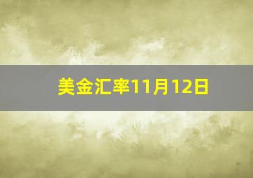 美金汇率11月12日