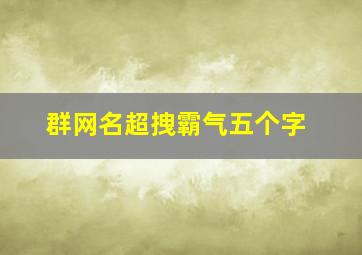 群网名超拽霸气五个字