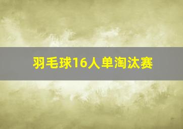 羽毛球16人单淘汰赛