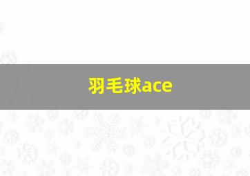 羽毛球ace