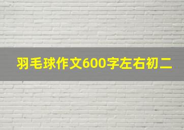 羽毛球作文600字左右初二