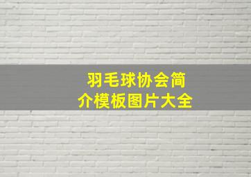 羽毛球协会简介模板图片大全