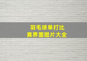 羽毛球单打比赛界面图片大全