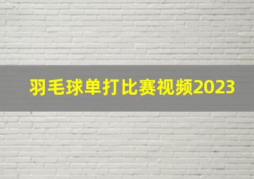 羽毛球单打比赛视频2023