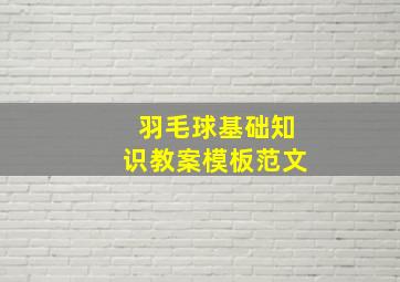 羽毛球基础知识教案模板范文