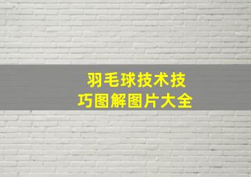 羽毛球技术技巧图解图片大全