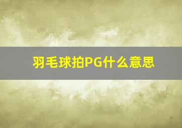 羽毛球拍PG什么意思