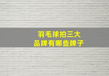 羽毛球拍三大品牌有哪些牌子