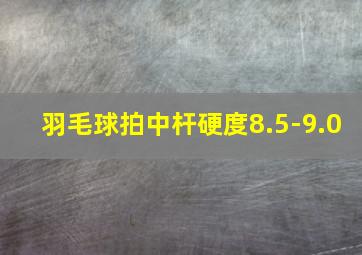 羽毛球拍中杆硬度8.5-9.0