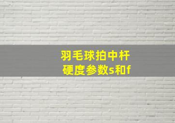 羽毛球拍中杆硬度参数s和f